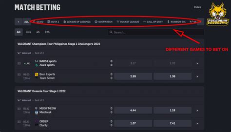CS:GO Betting PayPal Sites in May 2024 → CSGO Gambling .